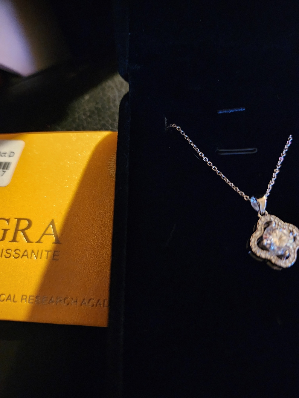 Sterling Silver Necklace with Halo Moissanite Pendant